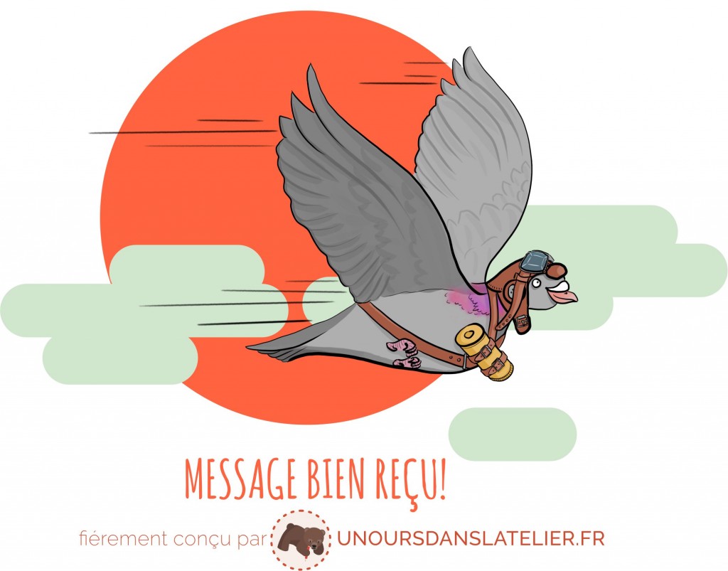Pigeon Voyageur Notice | Leçon de la pratique n° 8 – MOGO